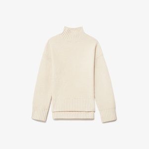 Everlane Oversized Stroopwafel Turtleneck